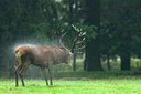 BUITEN BEELD Foto: 218218