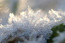 BUITEN BEELD Foto: 218227