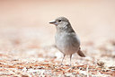 BUITEN BEELD Foto: 218263
