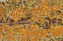 BUITEN BEELD Foto: 218277