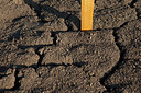 BUITEN BEELD Foto: 218300