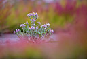 BUITEN BEELD Foto: 218306