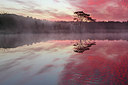 BUITEN BEELD Foto: 218353