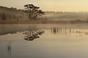BUITEN BEELD Foto: 218355