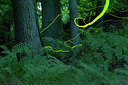 BUITEN BEELD Foto: 218361
