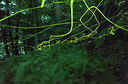 BUITEN BEELD Foto: 218362
