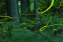 BUITEN BEELD Foto: 218363