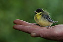 BUITEN BEELD Foto: 218370