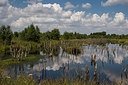 BUITEN BEELD Foto: 218397
