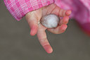BUITEN BEELD Foto: 218452