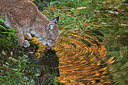 BUITEN BEELD Foto: 218467