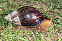 BUITEN BEELD Foto: 218495