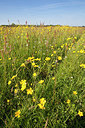 BUITEN BEELD Foto: 218497
