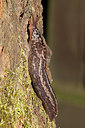 BUITEN BEELD Foto: 218501