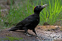 BUITEN BEELD Foto: 218510