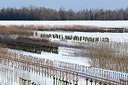 BUITEN BEELD Foto: 218540