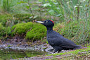 BUITEN BEELD Foto: 218550