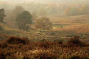 BUITEN BEELD Foto: 218567