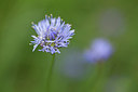 BUITEN BEELD Foto: 218594