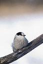 BUITEN BEELD Foto: 218813
