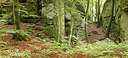 BUITEN BEELD Foto: 218850