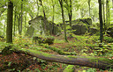 BUITEN BEELD Foto: 218851