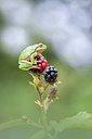 BUITEN BEELD Foto: 218891