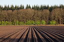 BUITEN BEELD Foto: 218895