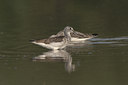 BUITEN BEELD Foto: 21002