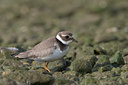 BUITEN BEELD Foto: 21025