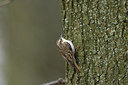 BUITEN BEELD Foto: 21065