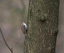 BUITEN BEELD Foto: 21066