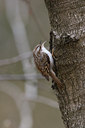 BUITEN BEELD Foto: 21067