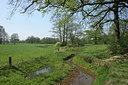 BUITEN BEELD Foto: 21099