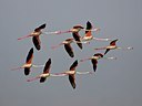 BUITEN BEELD Foto: 21112