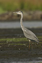 BUITEN BEELD Foto: 21156