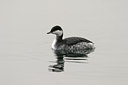 BUITEN BEELD Foto: 21176