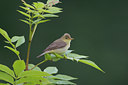 BUITEN BEELD Foto: 21211