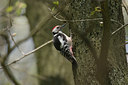 BUITEN BEELD Foto: 21219