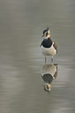 BUITEN BEELD Foto: 21231
