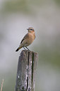 BUITEN BEELD Foto: 21232