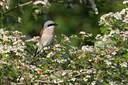 BUITEN BEELD Foto: 21241