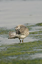 BUITEN BEELD Foto: 21248