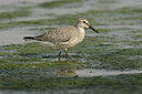 BUITEN BEELD Foto: 21250