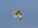 BUITEN BEELD Foto: 21268
