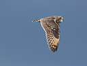 BUITEN BEELD Foto: 21269