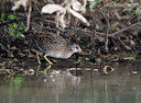 BUITEN BEELD Foto: 21293