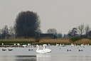 BUITEN BEELD Foto: 21344