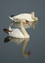 BUITEN BEELD Foto: 21370