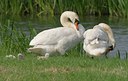 BUITEN BEELD Foto: 21388